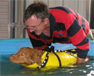 Dog Hydrotherapy: Pool Therapy